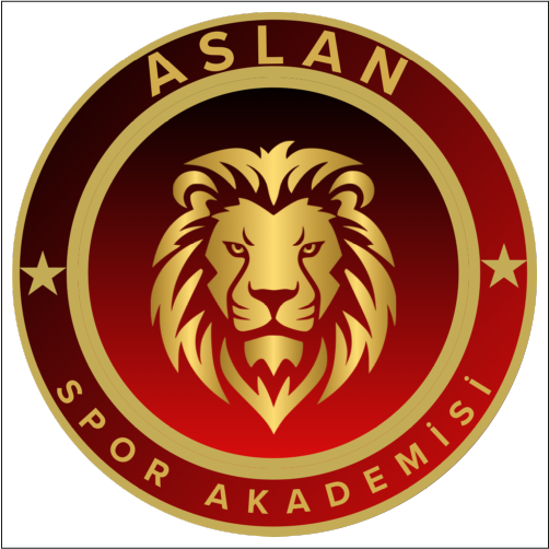 Aslan Spor Akademisi
